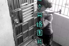 朔州贷款清欠服务